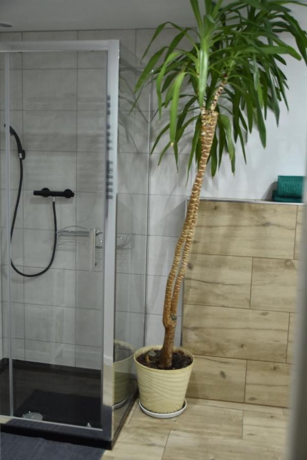 פולניסה-ז'דוז' Apartament Centrum מראה חיצוני תמונה