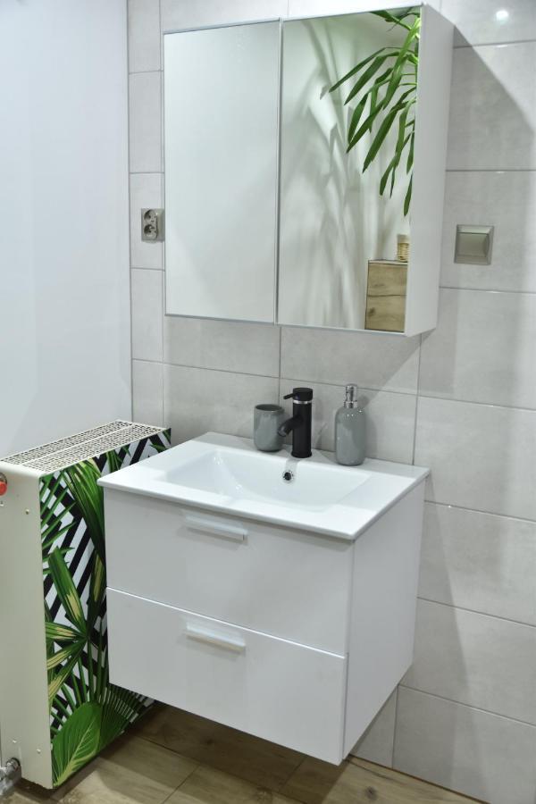 פולניסה-ז'דוז' Apartament Centrum מראה חיצוני תמונה